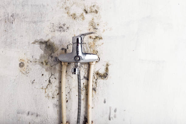 Best Post-Flood Mold Remediation in Martinsville, NJ